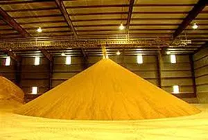 DDGs (Dried Distillers Grains with Solubles) for Export