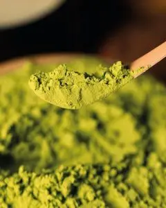 GREEN PROPOLIS EXRACT POWDER 