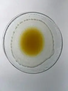 Green Propolis Extract