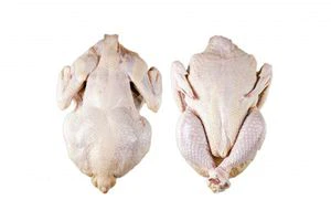 Pollo y partes de pollo - Congelado