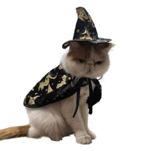 Fantasias de Halloween Cosplay de Gato