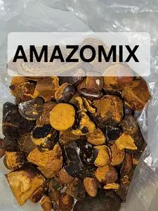 Se hierve el tracto biliar. Bezoar