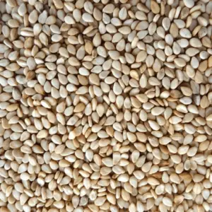 Sesame Seeds
