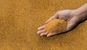 Buy Distillers Dried Grains with Solubles Online Fast Delivery...