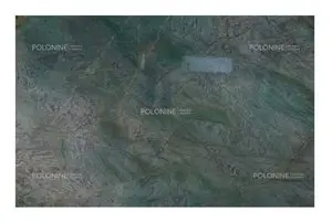 SPECTRA CRYSTAL GREEN