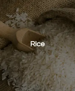 巴西白米和蒸煮米