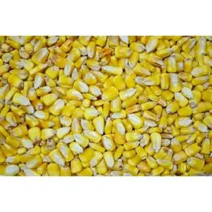 Descripción del Maíz Amarillo de Alta Energía