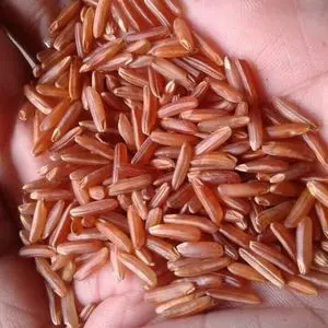 Arroz integral – Farelo - Grãos integrais intactos, baixo índice...