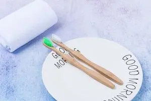 Popote desechable biodegradable ecológico HL-013A