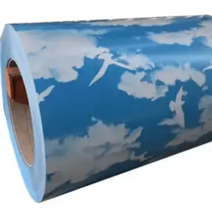 Chapa de aço revestida de cor impressa de alta qualidade —...