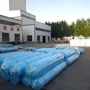 Filme de Placa Grande