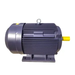 Motor Elétrico Assíncrono Trifásico de Alta Qualidade Y250M-4...