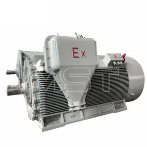 Motor a prueba de explosiones de alto voltaje de 10 kV y 710 kW...