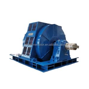 Motor síncrono vertical de alto voltaje, serie TL, 10 kV, 1200...
