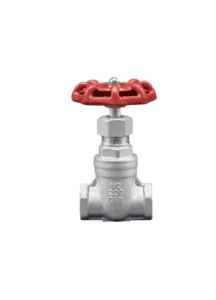 Válvula de gaveta de aço inoxidável 304