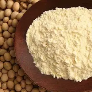 FARINHA DE SOJA MICRONIZADA 
