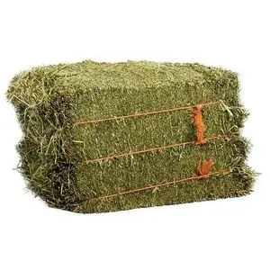 Quality alfalfa hay bays Alfalfa Pellets 