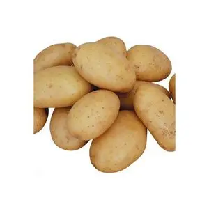 Precio de exportación al por mayor de papa fresca de buena...