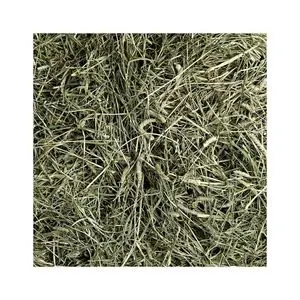 Timothy hay bulk supply wholesale cheap price