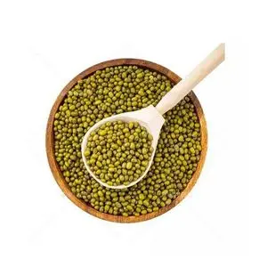 Frijoles mungo Vigna a bajo precio 