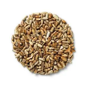 High quality safflower seeds 