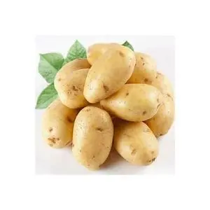 Batatas frescas amarelas douradas 