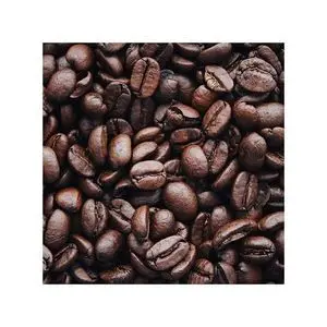 Discount price Coffee Beans wholesale 