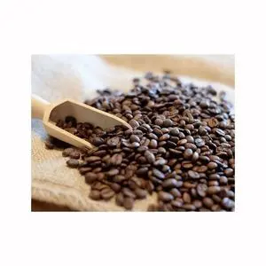 Premium Coffee Bean Roasted Robusta 