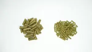 Alfalfa pellets