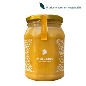 Ulmo Honey