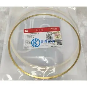 Anel de vedação do cilindro