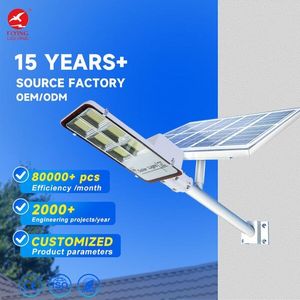 Luz de Rua Solar LED de Manutenção de 2 Anos para Exteriores com...