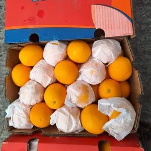 Laranjas Valência frescas 