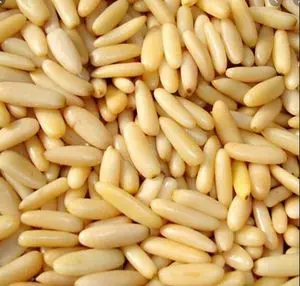 Pinhões 