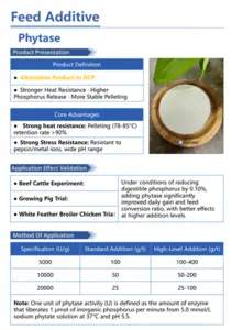 Feed Enzymes-Phytase