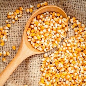 Pure Yellow Corn Cleaned Natural Grain for Livestock Feed Food...