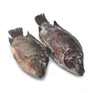 Mejor Tilapia Congelado Rico en Proteínas Producto de Marisco...