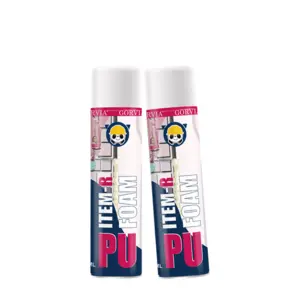 PU Foam Sealant