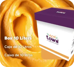 Sorbet de Manga - Caixa de 10L