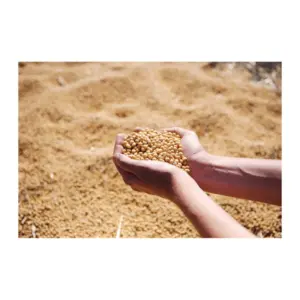 Starter Feed Animal Feed Ingredient for Feed Mills Bulk Export...