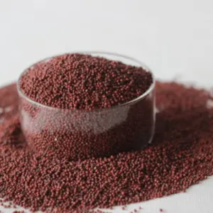 Mijo de dedo (ragi) – grano sin gluten con mayor contenido de...