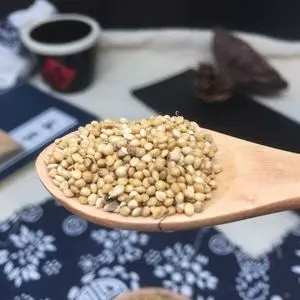 Grãos Germinados – Mistura Multi-Grãos Orgânica Ativa com...