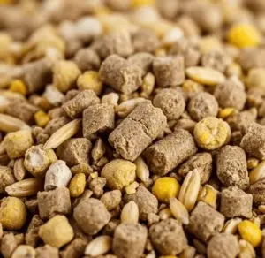 Custom Feed Blends Bulk Animal Feed Ingredient Supply FOB Durban...