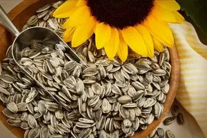 Crude Sunflower Oil (CSFO)