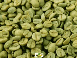 Green Coffee Beans - Origin Brazil