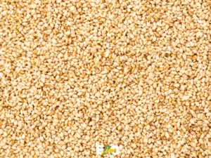 Sésamo Natural - Origen Brasileño