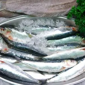 Sardina Pescado Fresco de Marisco al Precio Más Bajo para...