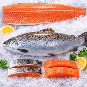 Supreme ofrece salmón congelado y pescado fresco limpio para el...