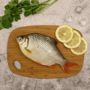 Oferta caliente de marisco fresco y limpio para freír y cocinar