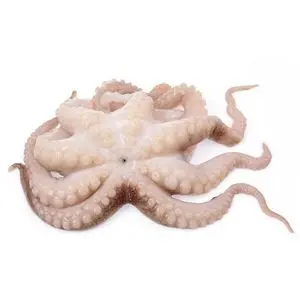 Exportador de marisco de pulpo congelado de alta calidad para...
